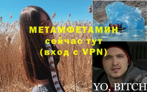 гидра Весьегонск