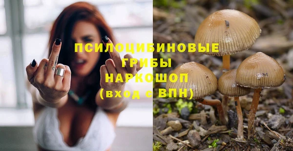 apvp Красноперекопск