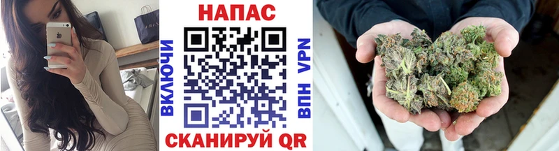 Конопля семена  Магас 